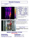 Thermal Infrared Scanning Report