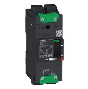 Circuit Breaker BGL26035 SQUARE D