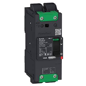 Circuit Breaker BJL26030 SQUARE D